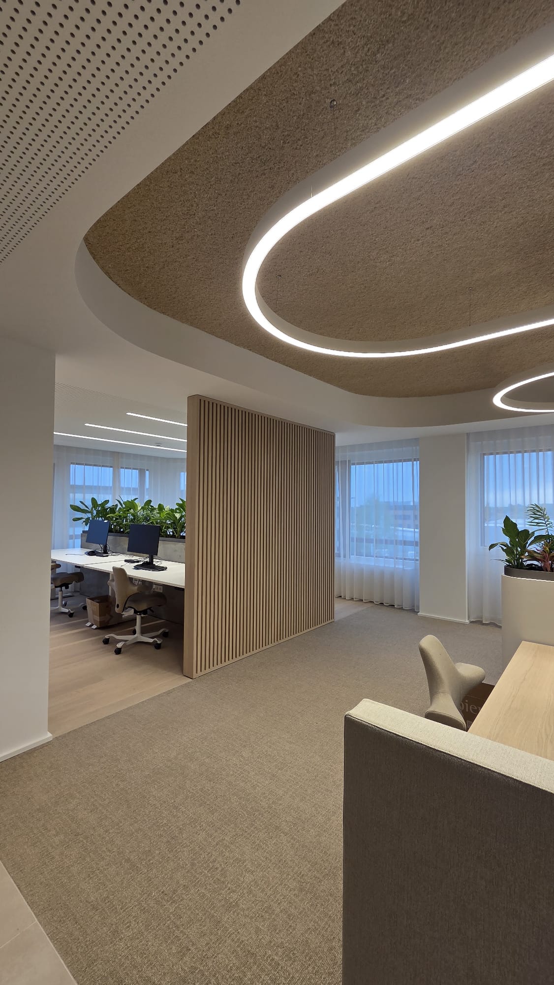 Office interior curved ceiling